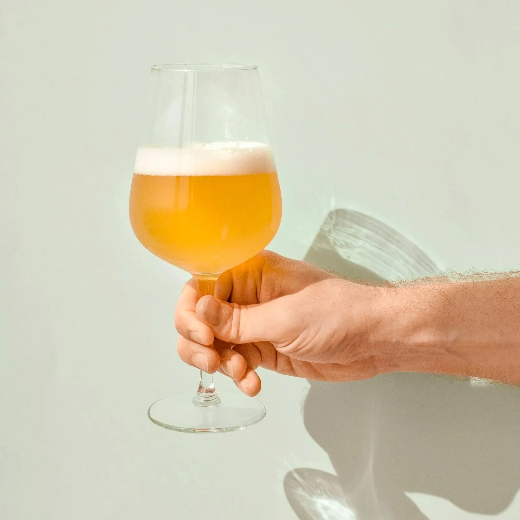 Chocolate + Craft Beer Pairing Class