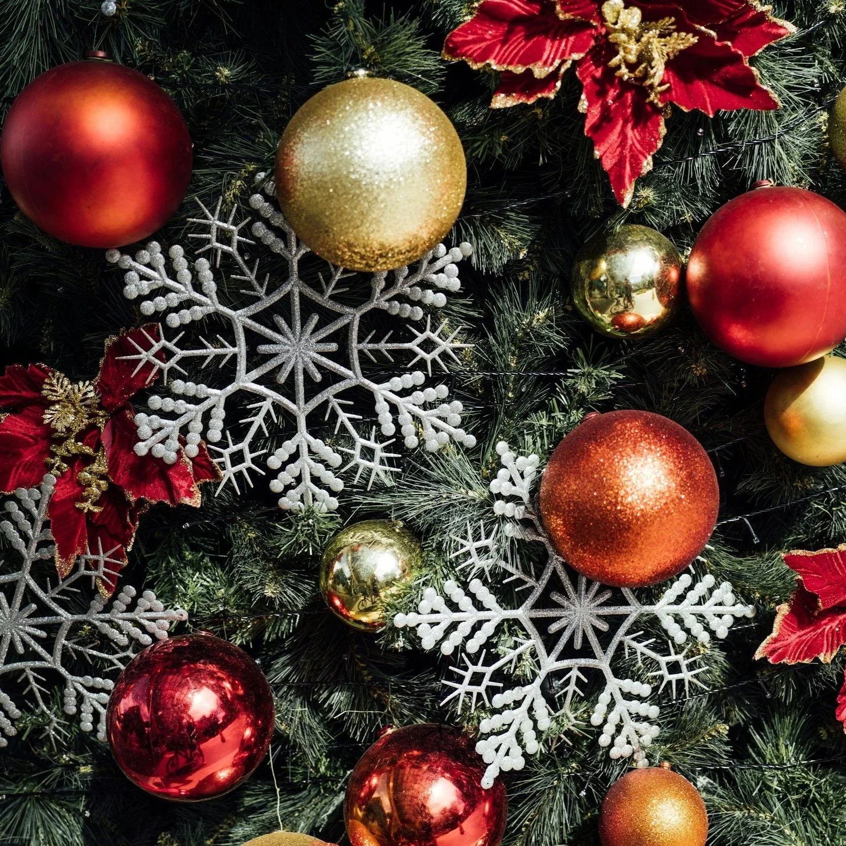 Bellevue Farmers Market - Holiday Edition