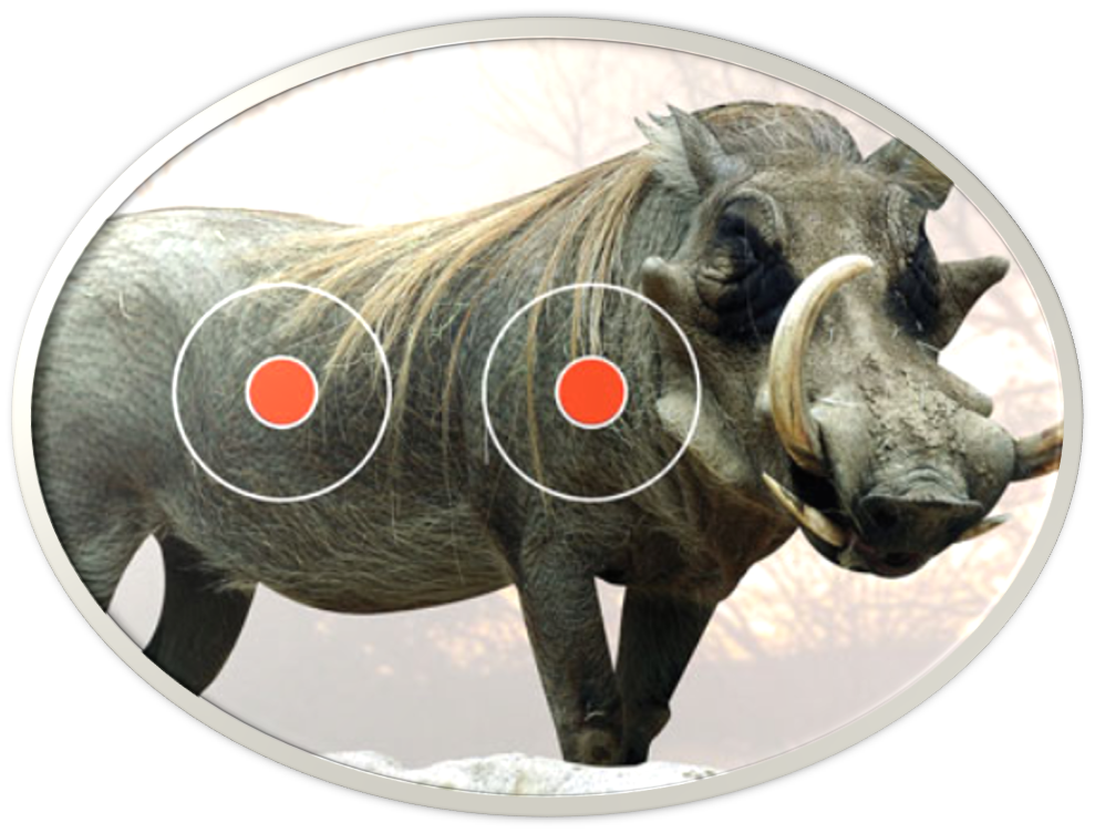 Thompson Memorial Shoot