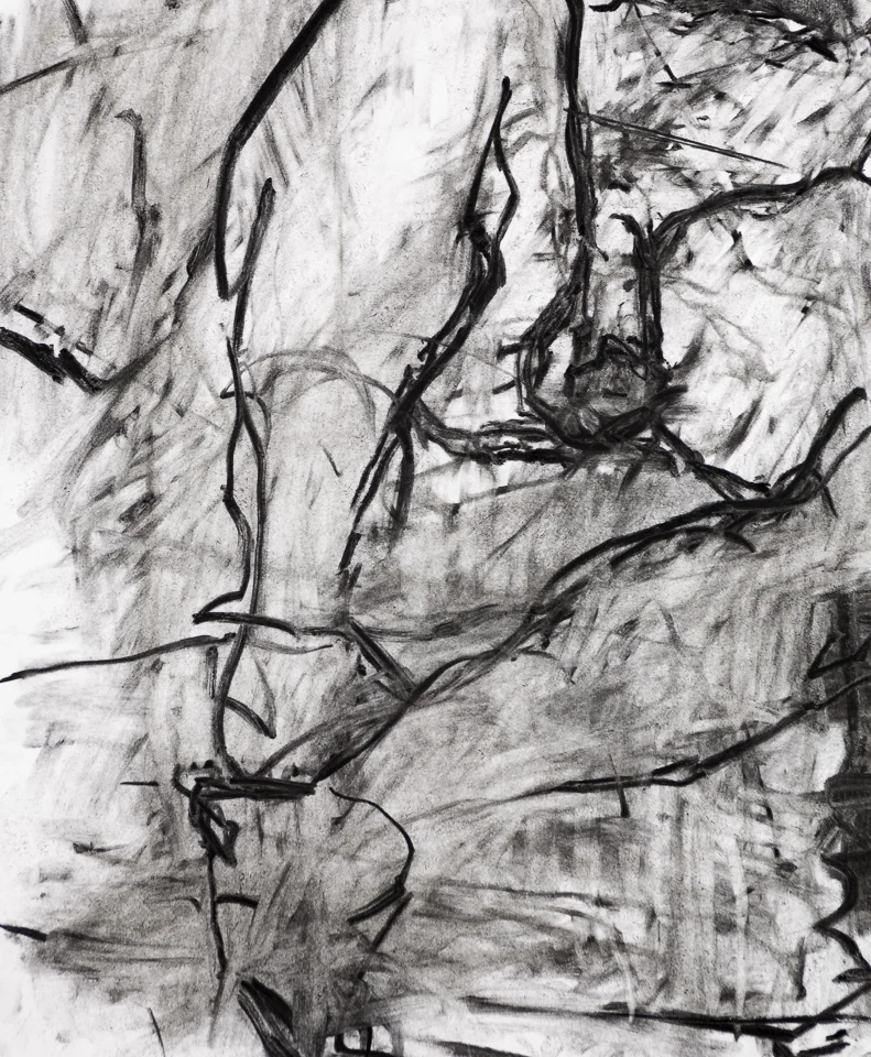 Reclining Figure