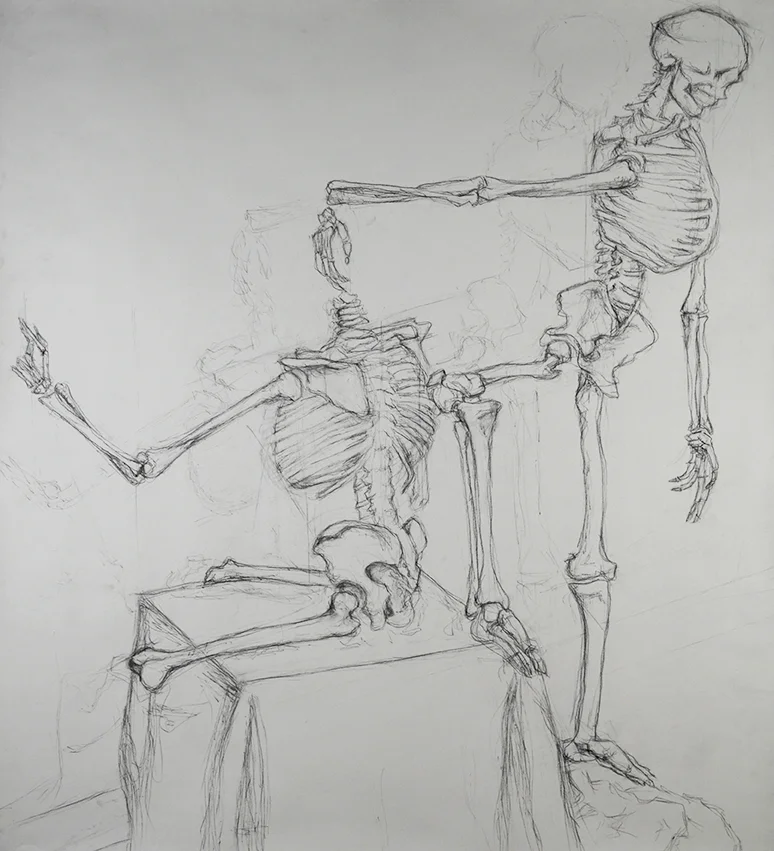 Anatomy Drawing, Skeleton