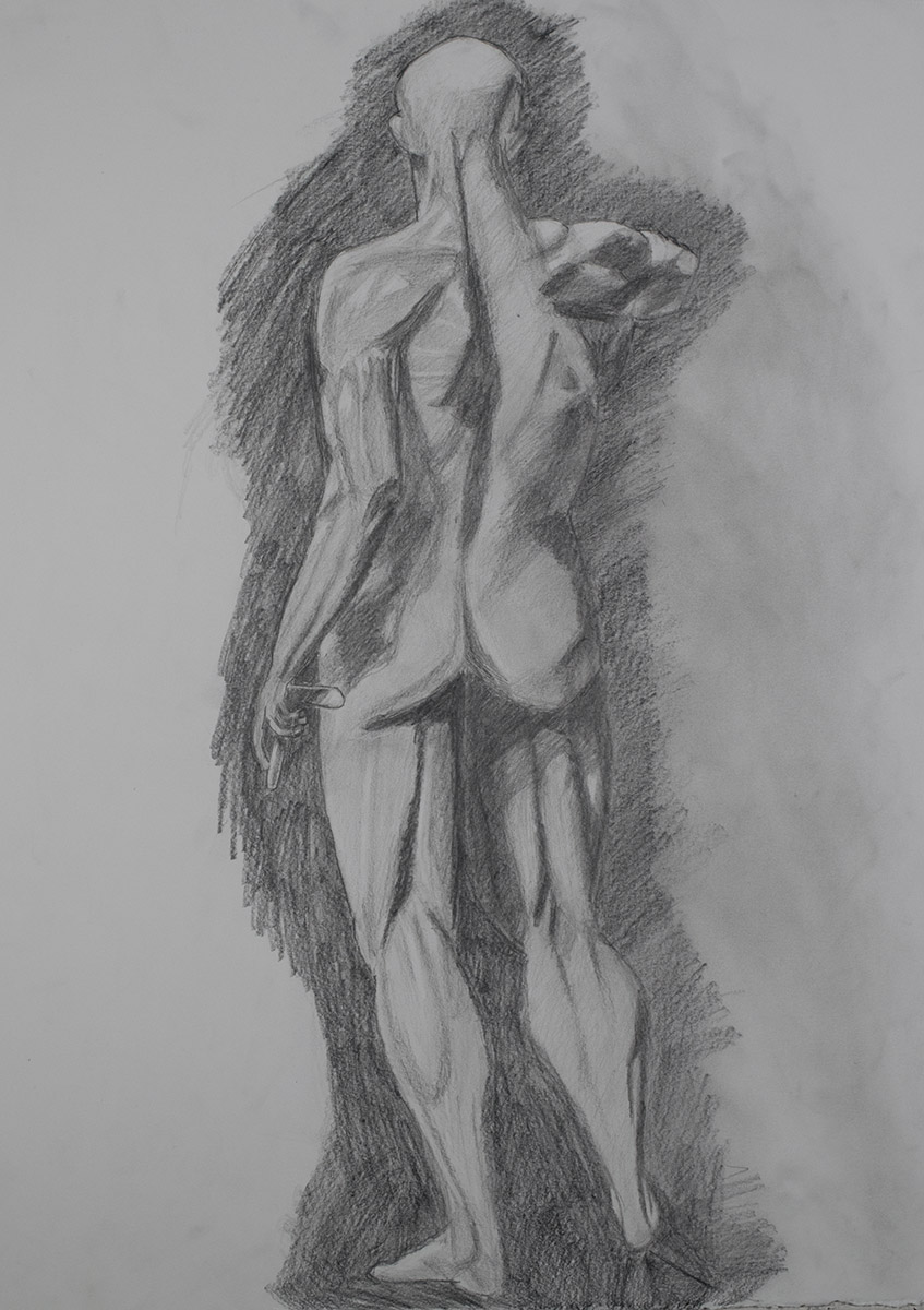 Anatomy Drawing, Muscles