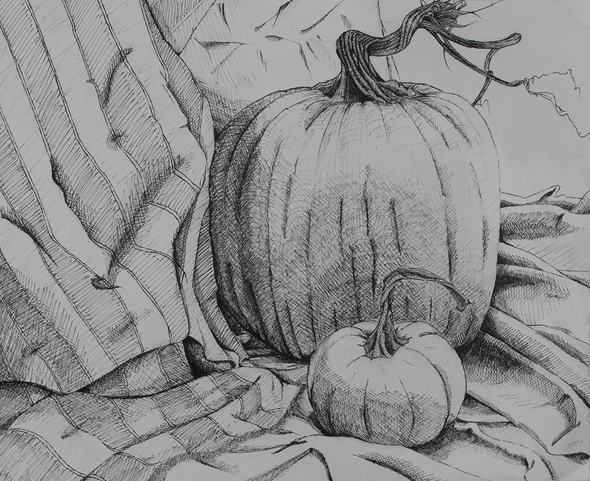 Foundation Drawing, Pumpkin Still Life