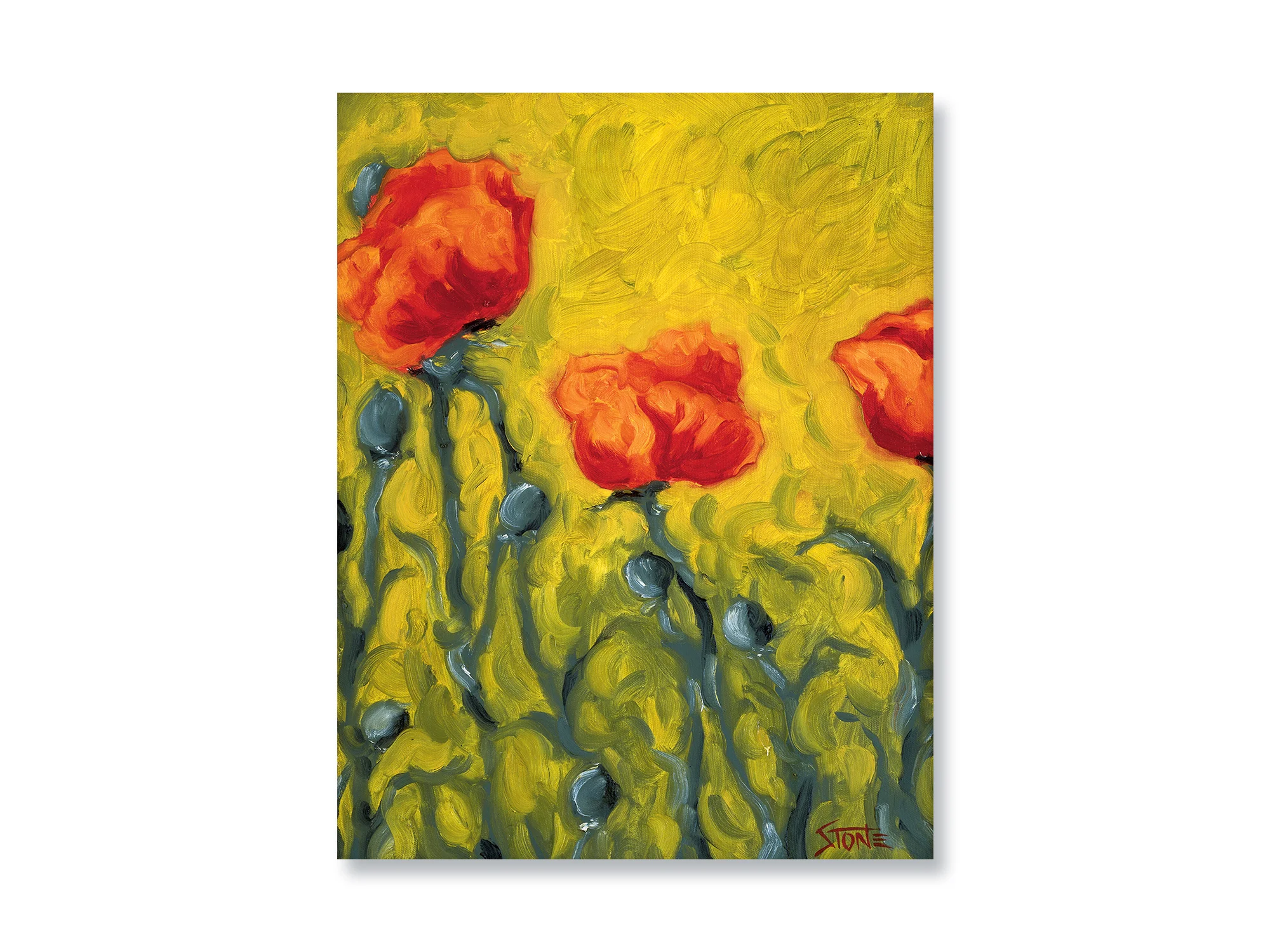 TWO POINT FIVE POPPIES