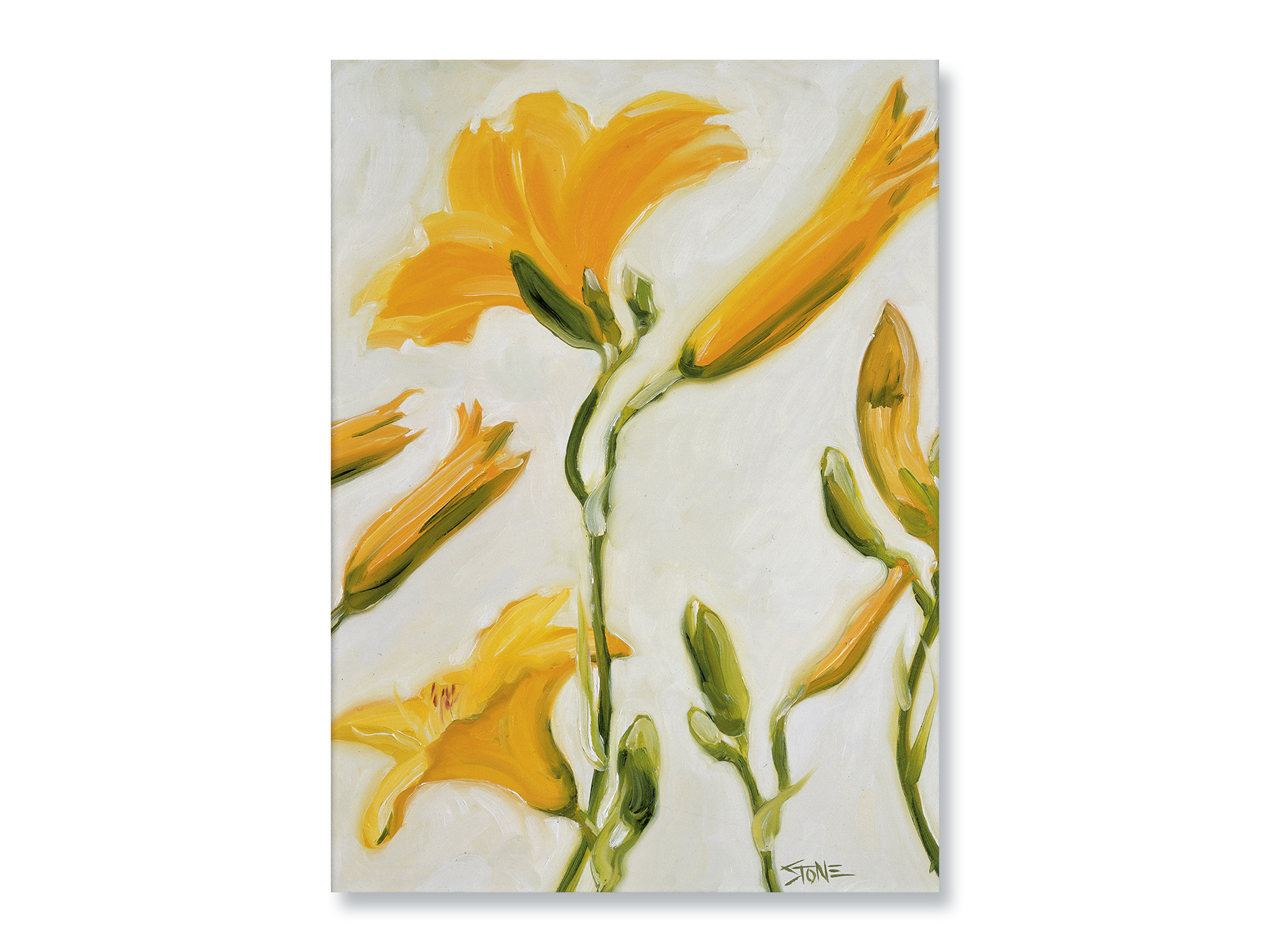 YELLOW LILIES ON WHITE