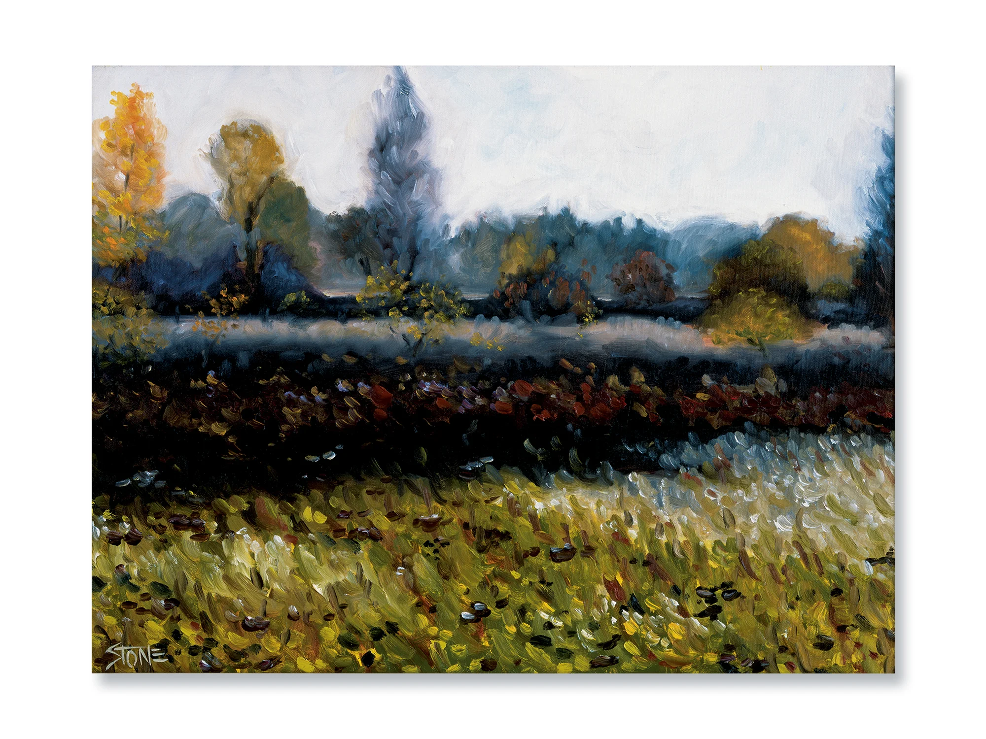 AUTUMN END LANDSCAPE