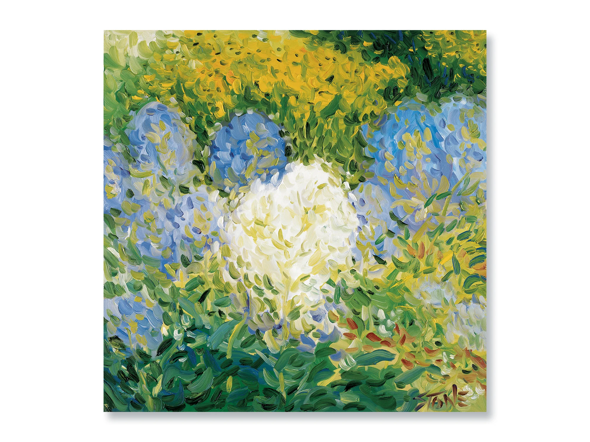 WHITE SURROUND