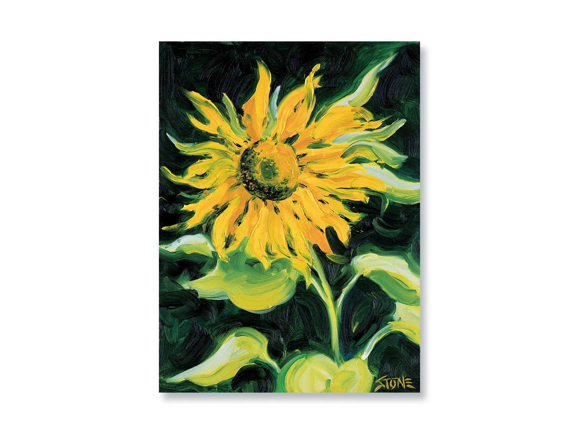SUNFLOWER FULL