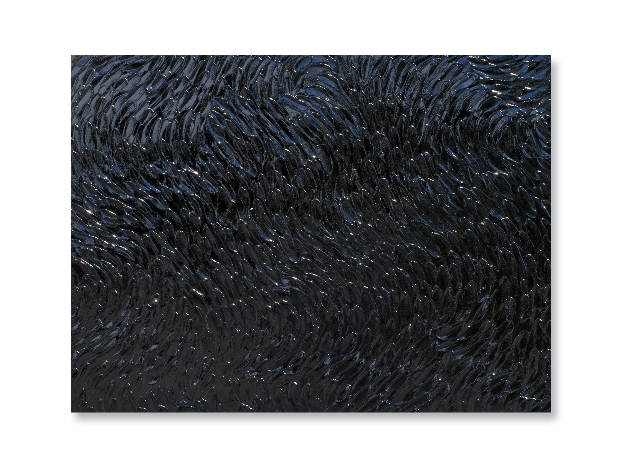 MOVEMENT IN BLACK
