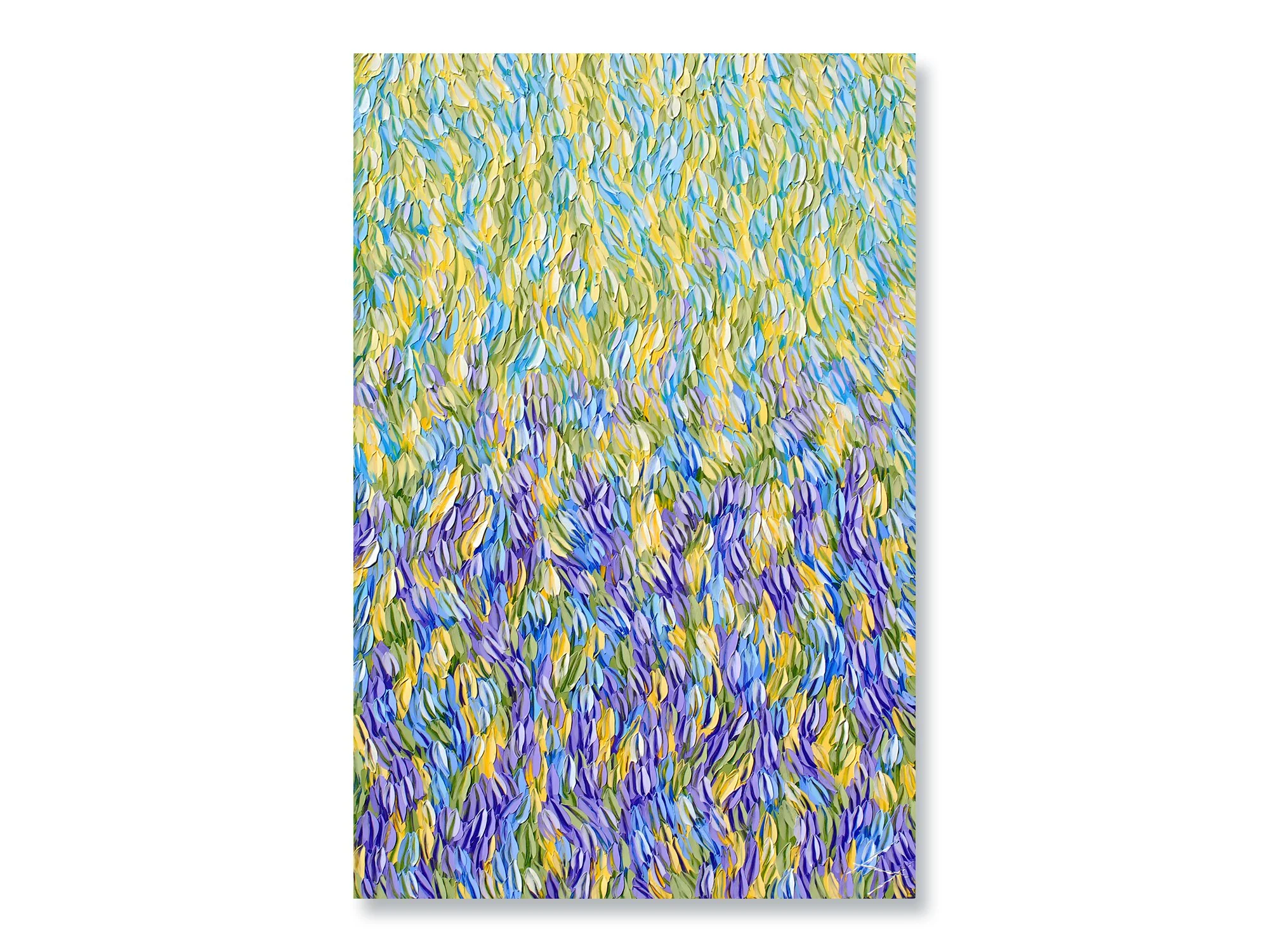 WILDFLOWER 2