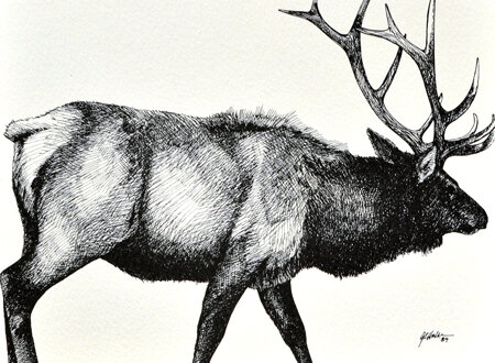 Elk Card