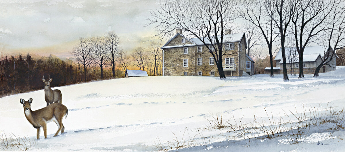 First Winter