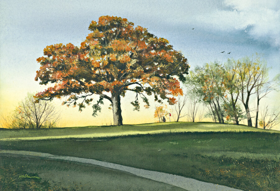 Looking Back from Nine