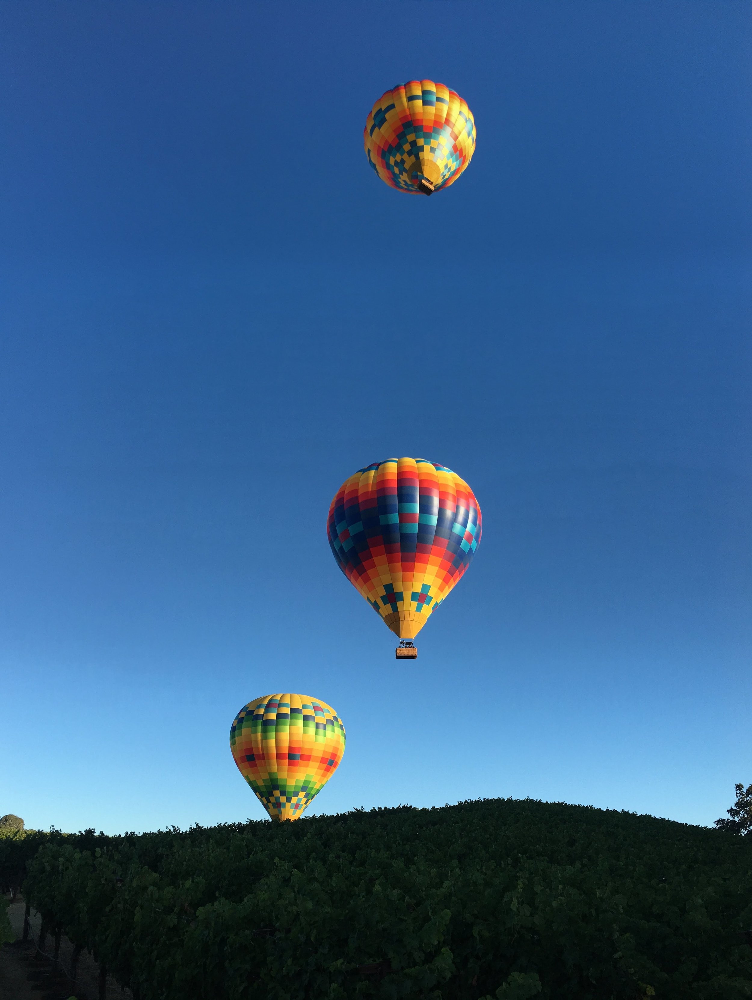  Napa Vallet Aloft’s beautiful fleet 