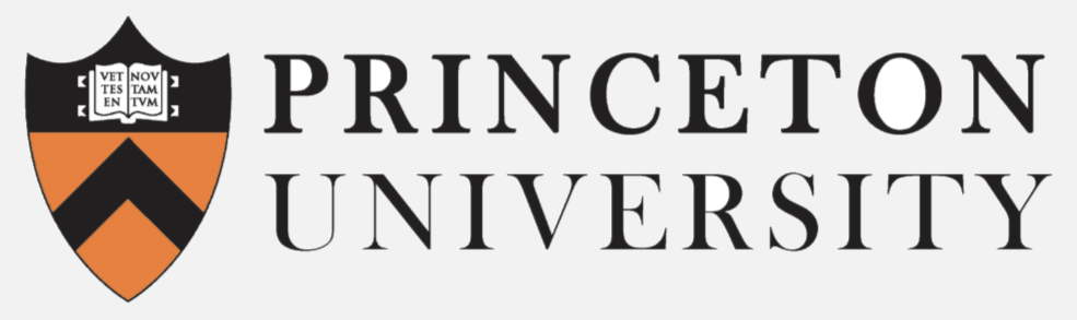 princeton_logo_bg_f2f2f2_redo.png