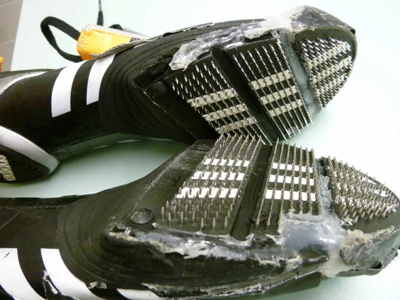 adidas bobsled spikes