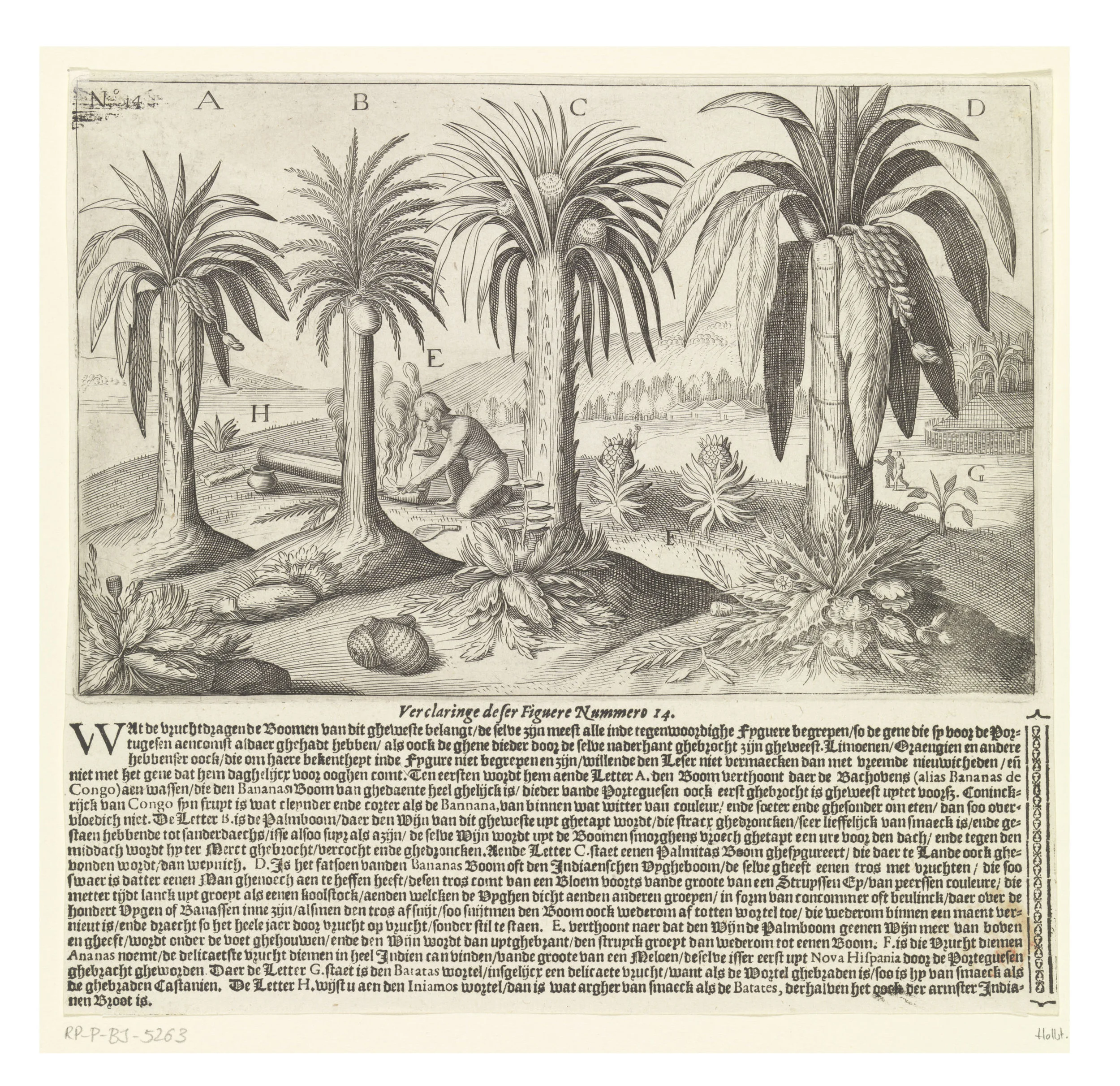 print-plants.jpg