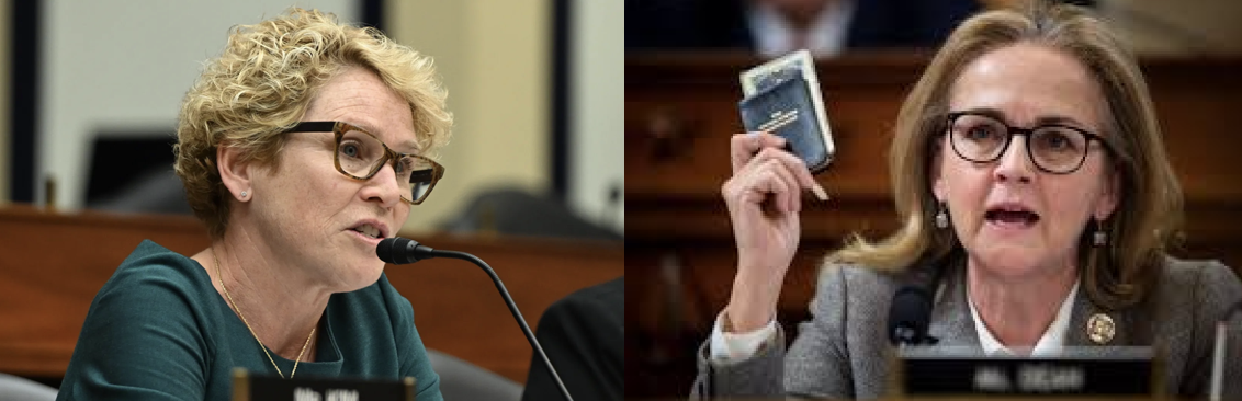 DEMOCRATS FIGHTING FOR YOU