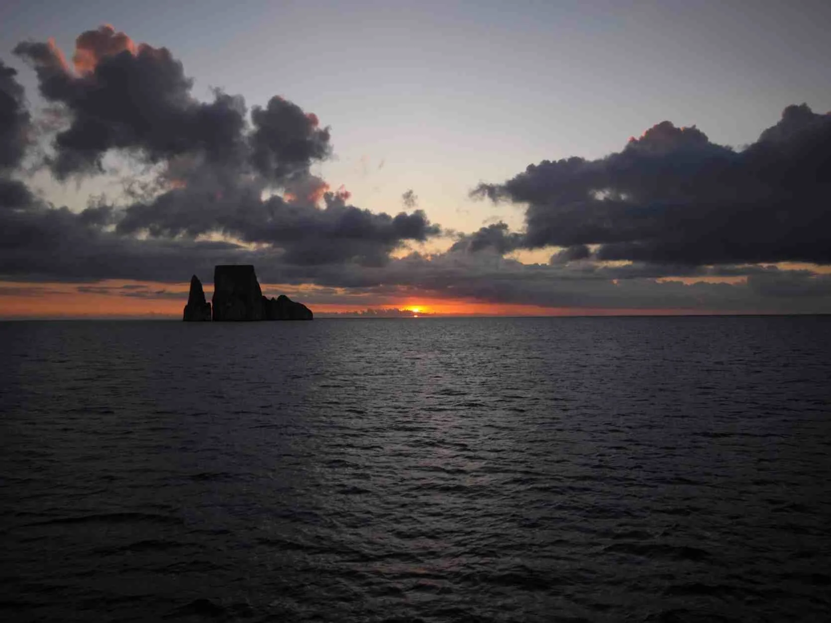 Galapagos11.jpg