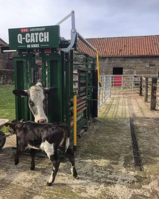 The Q-Catch 86 Series manual crush from Arrowquip is world renowned for its quietness, which will help reduce stress on cattle and handlers.