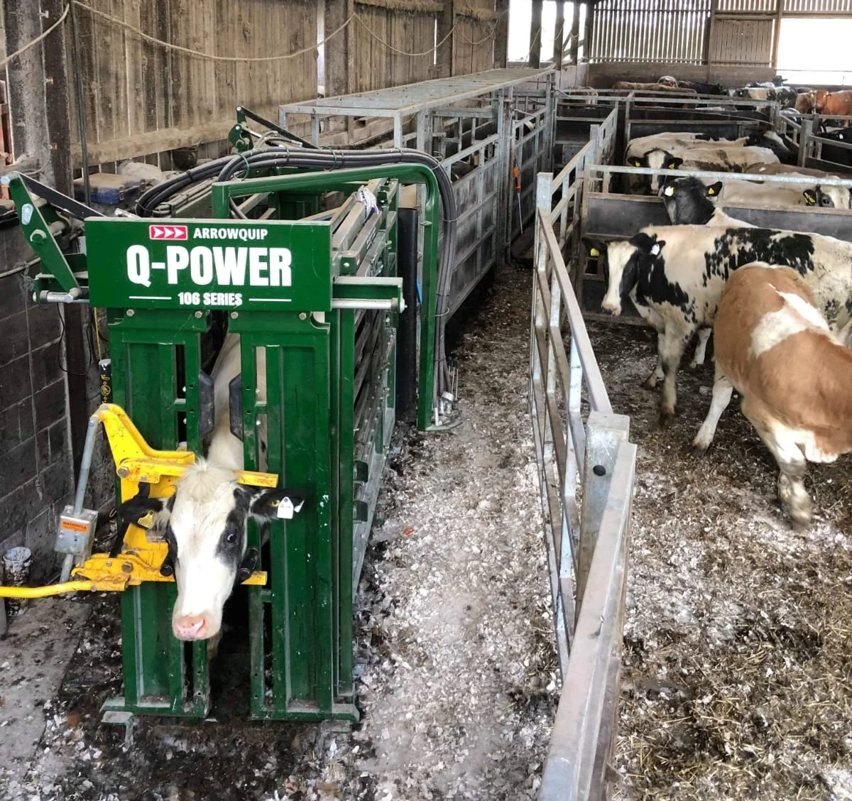 The Q-Power 106 Series Hydraulic Cattle Crush reduces stress to cattle handlers and their livestock.