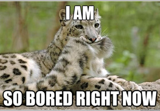 bored now.png