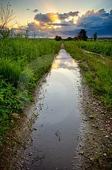 sunset.jpg