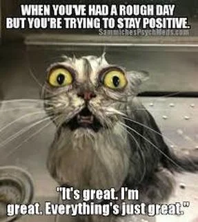 wetcat.jpg
