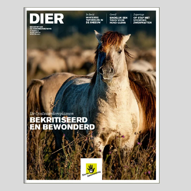dierenbescherming_eigentijdse_huistijl_4.jpg