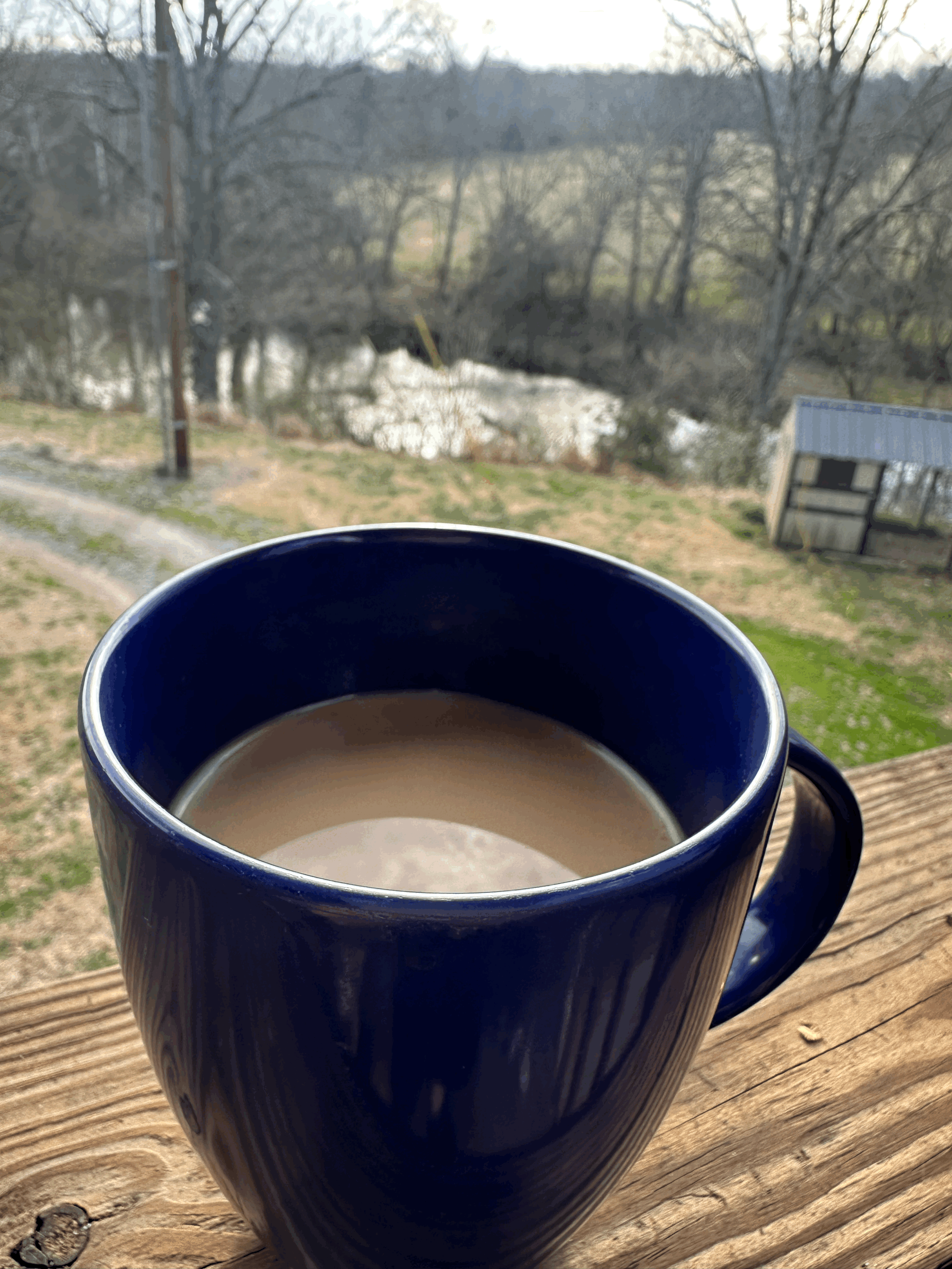 On Being A Person and A Therapist