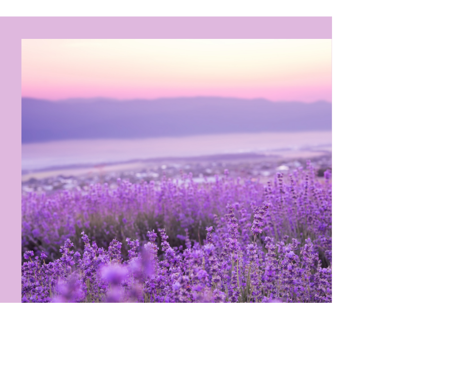 RPT™ Supervision Package