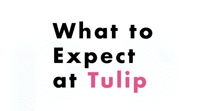 What To Expect GIF 3.gif