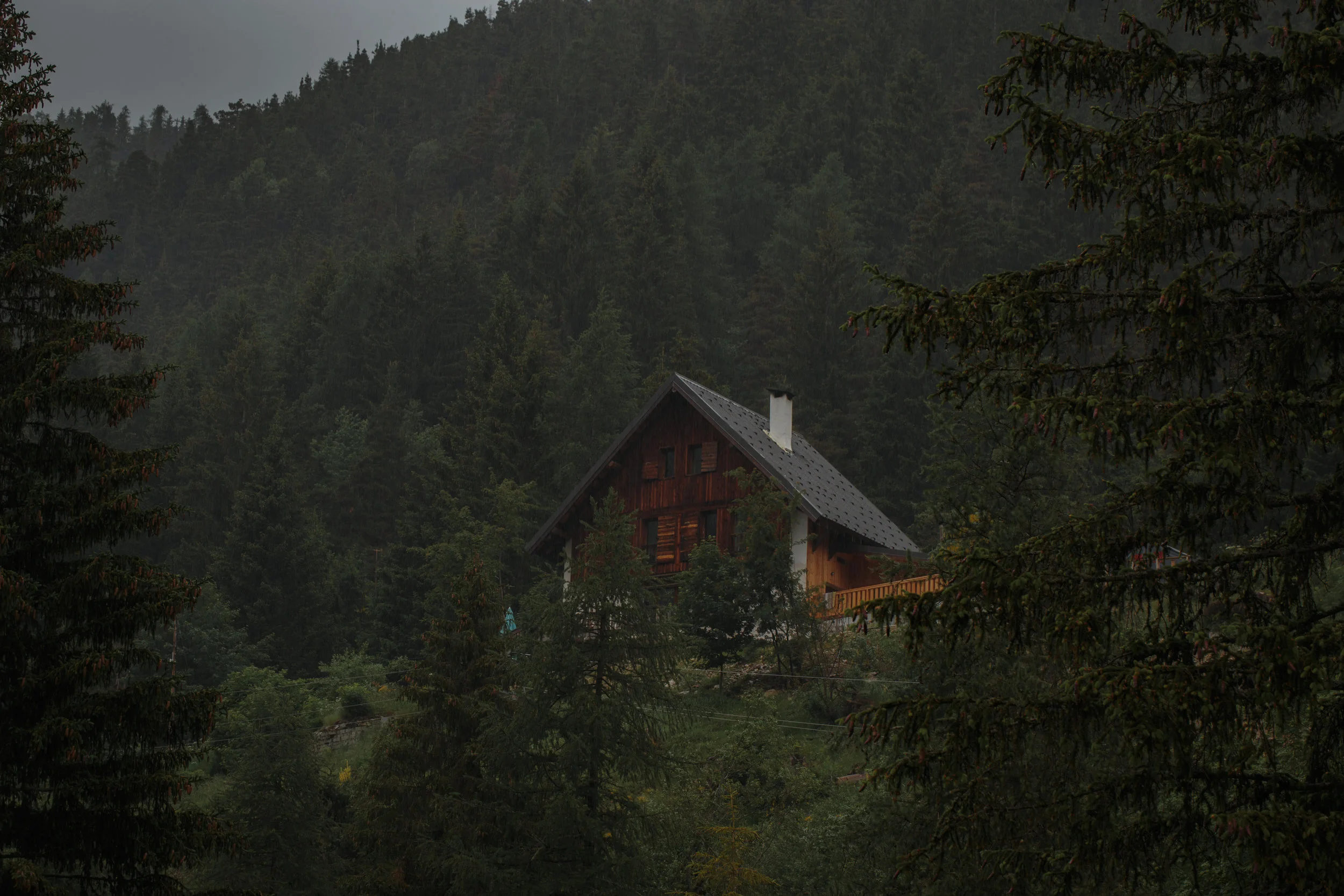 A cabin in the woods