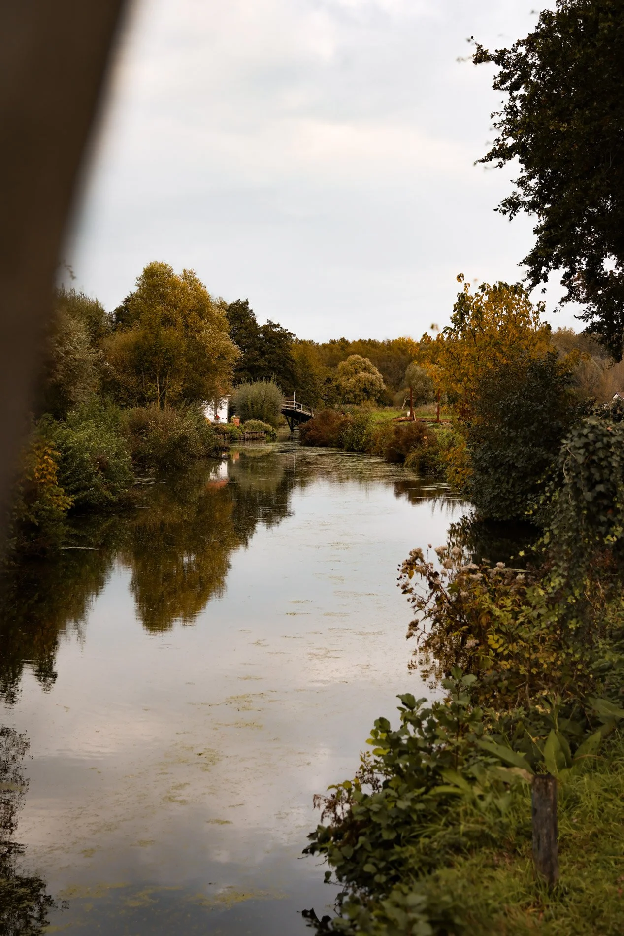 carnet sauvage-22.jpg
