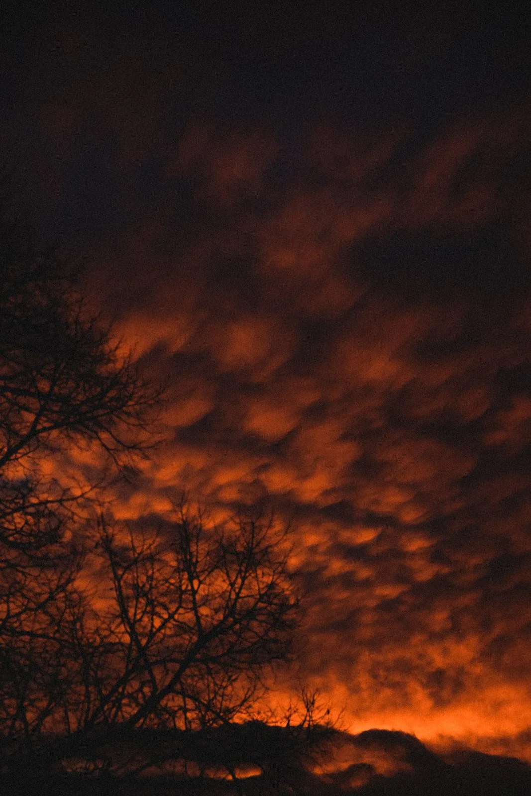 CIEL - carnet sauvage-4.JPG