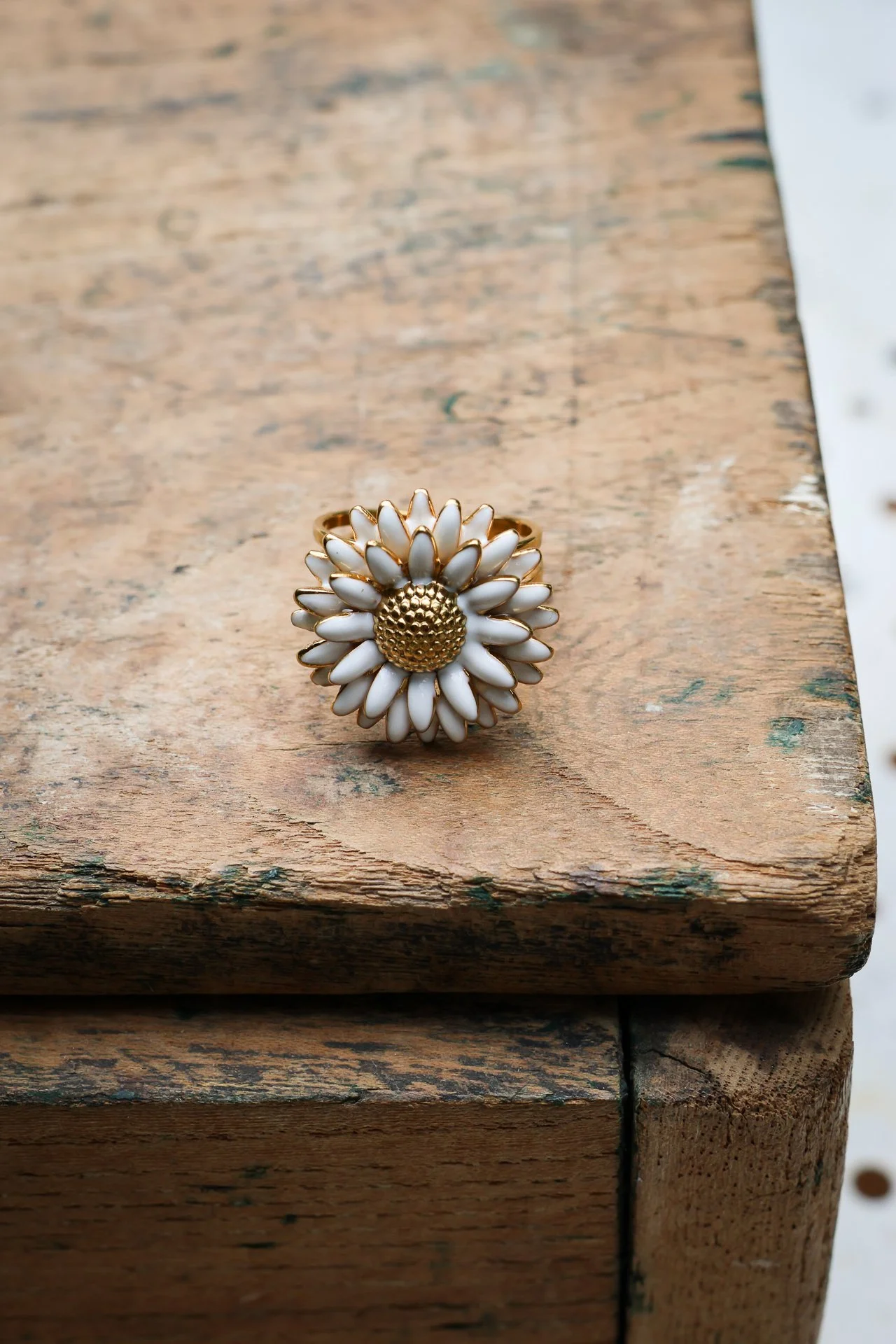 BIJOUX CARNET SAUVAGE-041.jpg