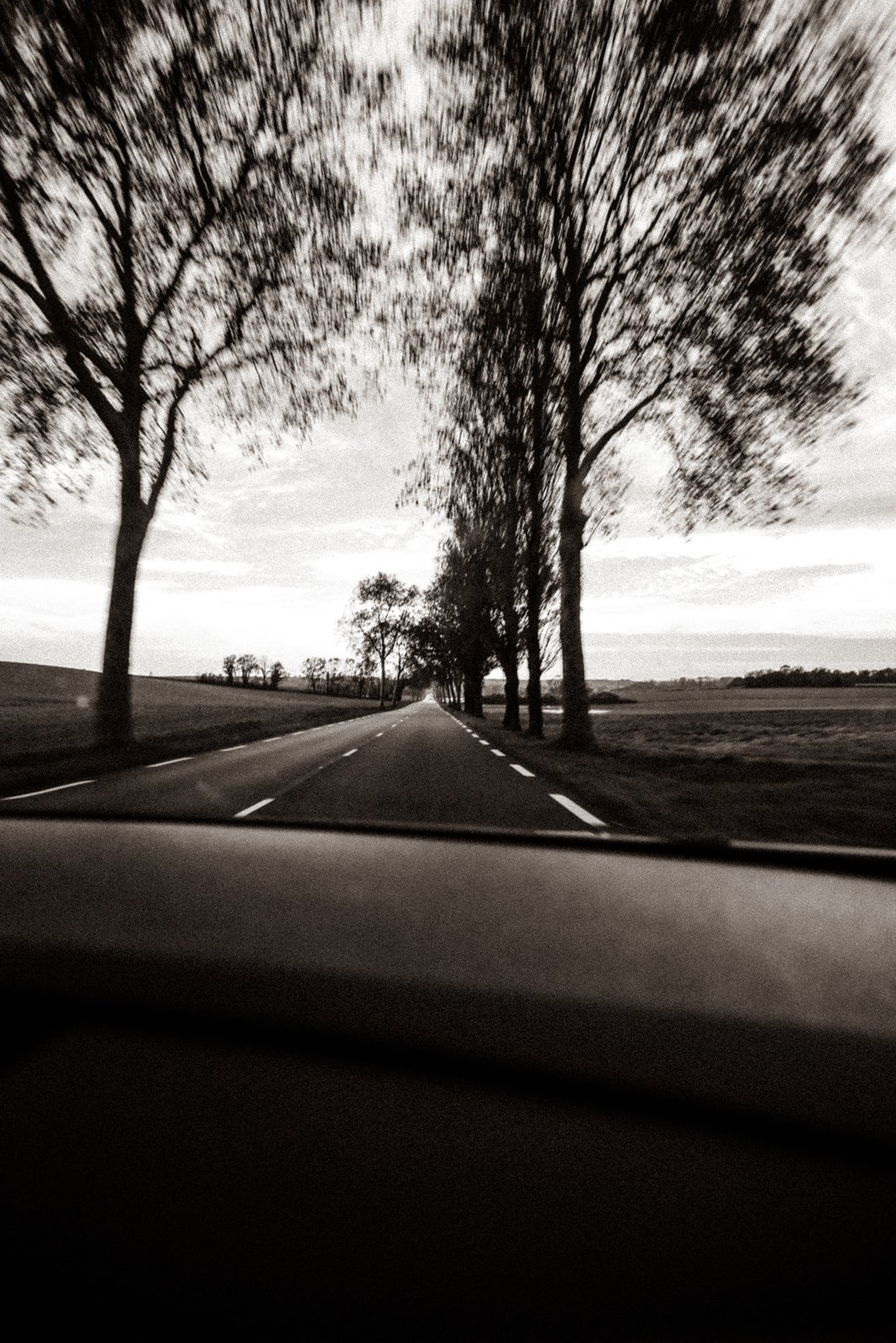 FALL - CARNET SAUVAGE_-13.JPG