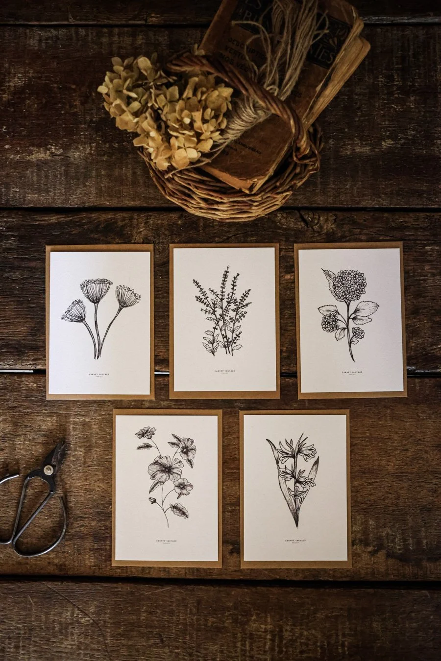 cartes et bijoux - CARNET SAUVAGE-10.jpg