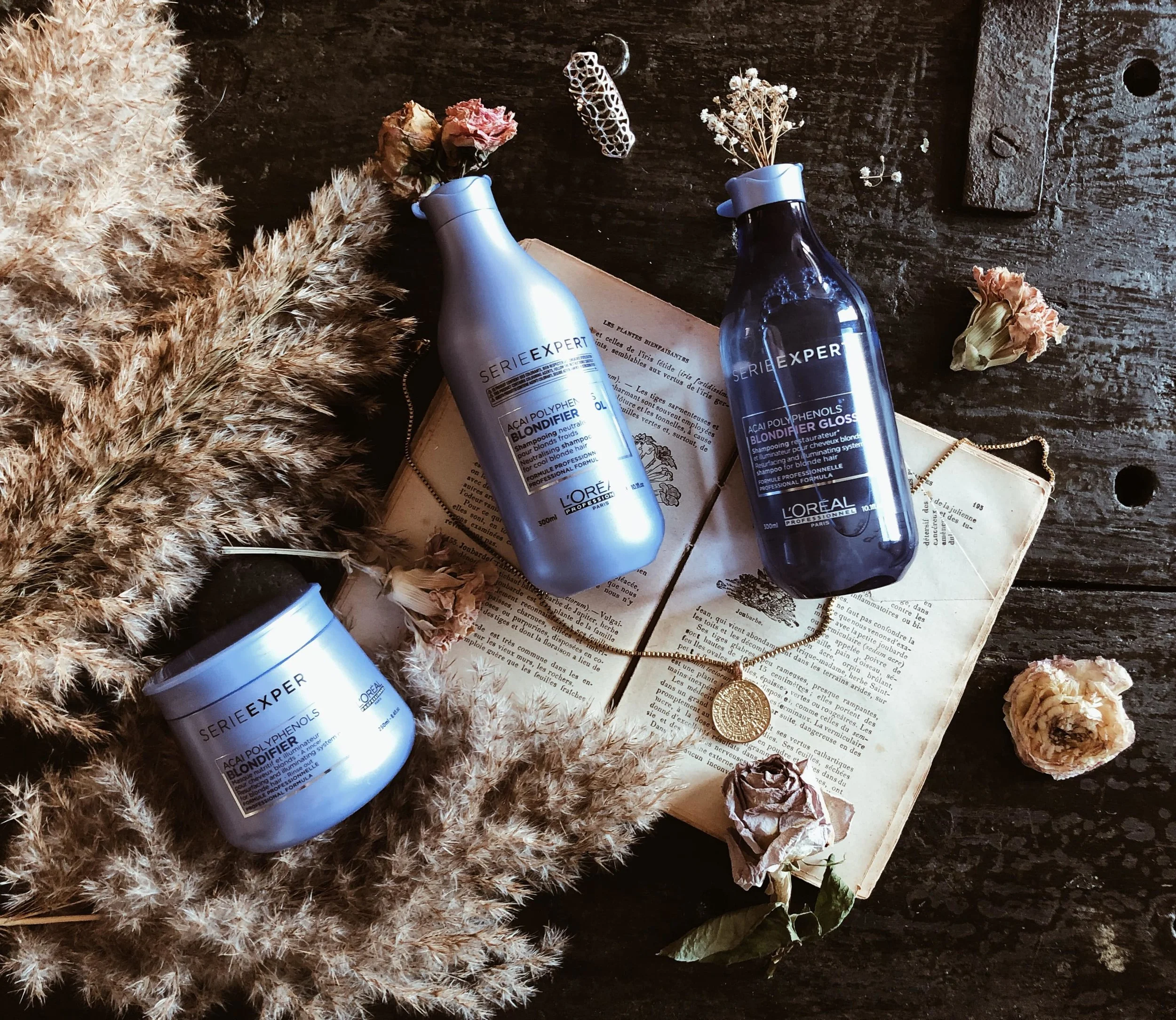 Carnet Sauvage - Blog mode et beauté, gamme de soin pour cheveux blonds Blondifier L'Oréal Pro