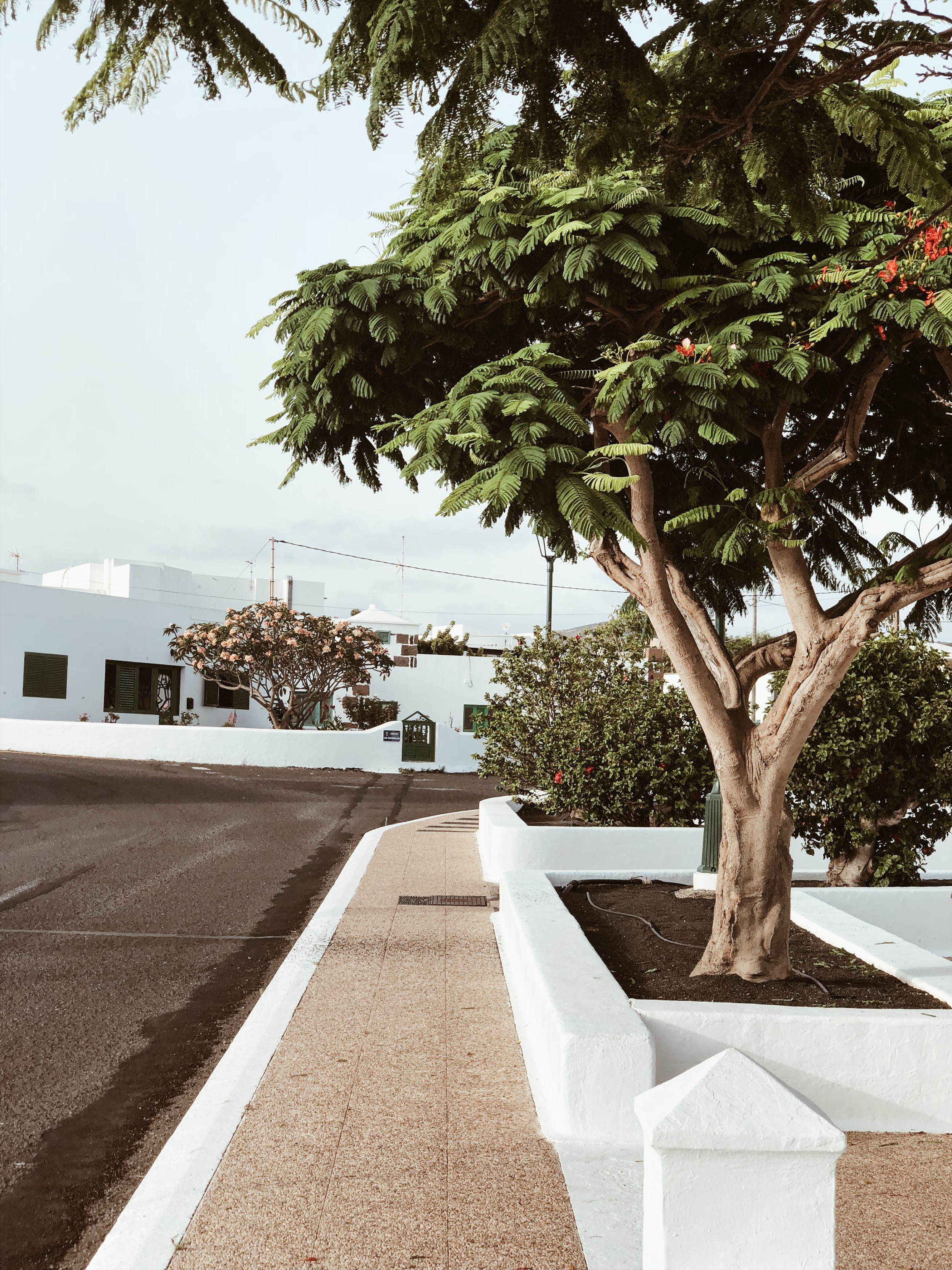 Carnet Sauvage - Blog mode et voyages, direction artistique Lille - voyages Lanzarote, endroits à ne pas rater