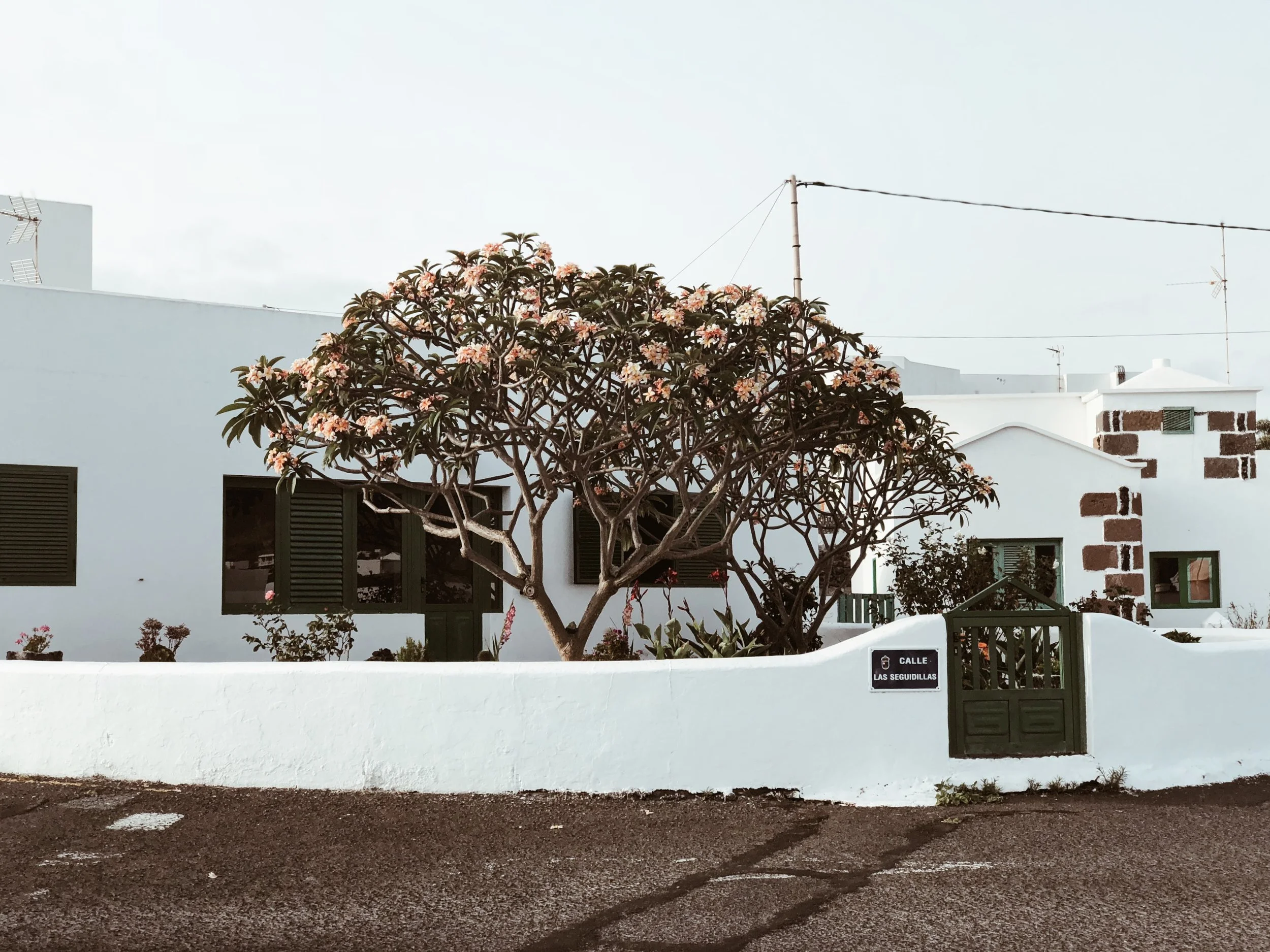 Carnet Sauvage - Blog mode et voyages, direction artistique Lille - voyages Lanzarote, endroits à ne pas rater