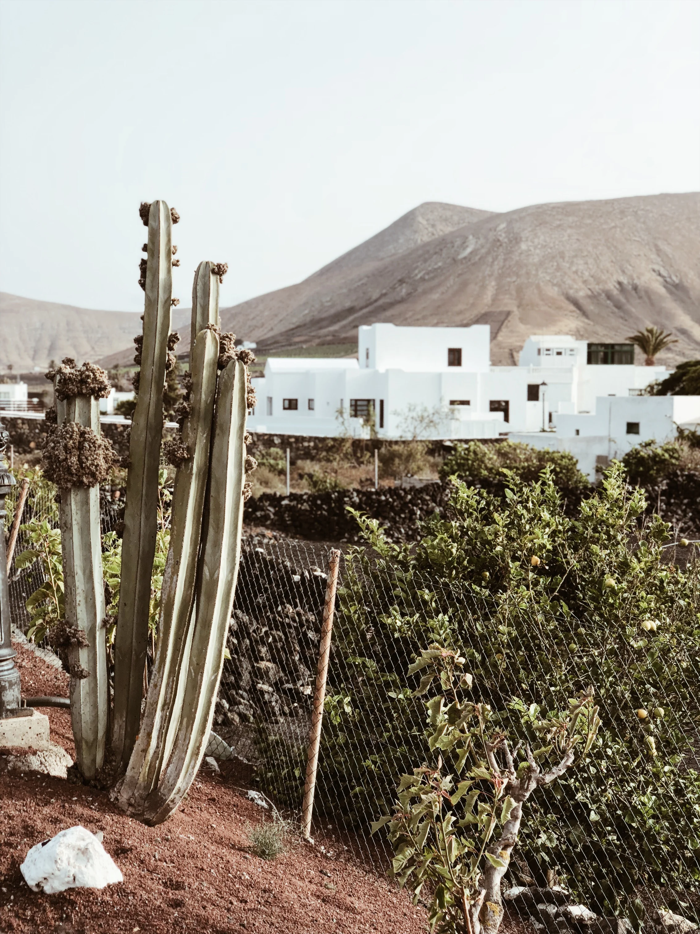 Carnet Sauvage - Blog mode et voyages, direction artistique Lille - voyages Lanzarote, endroits à ne pas rater