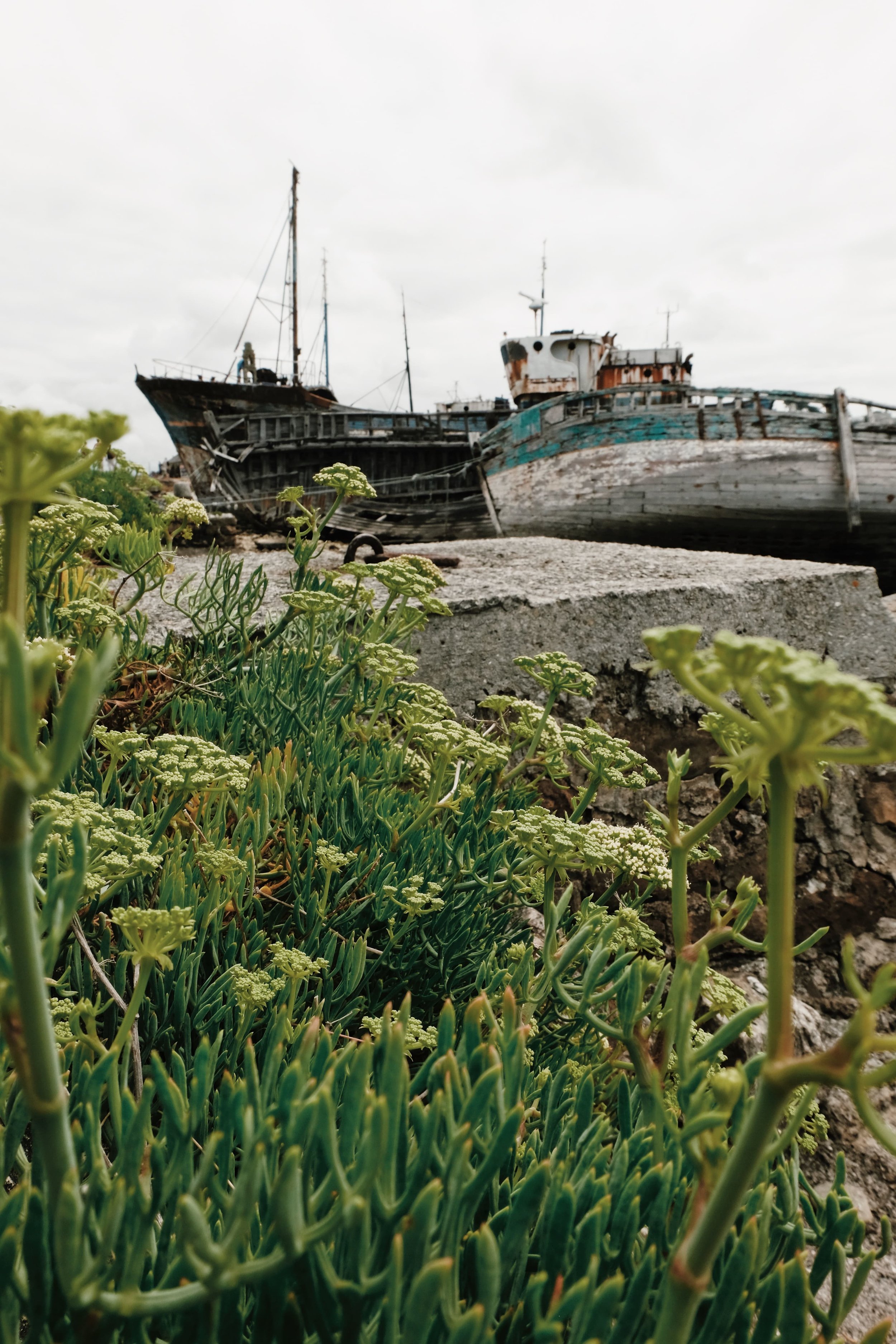 Carnet Sauvage - blog voyage Lille - visiter la Bretagne - presqu'ile de Crozon - Camaret sur mer 5.jpg