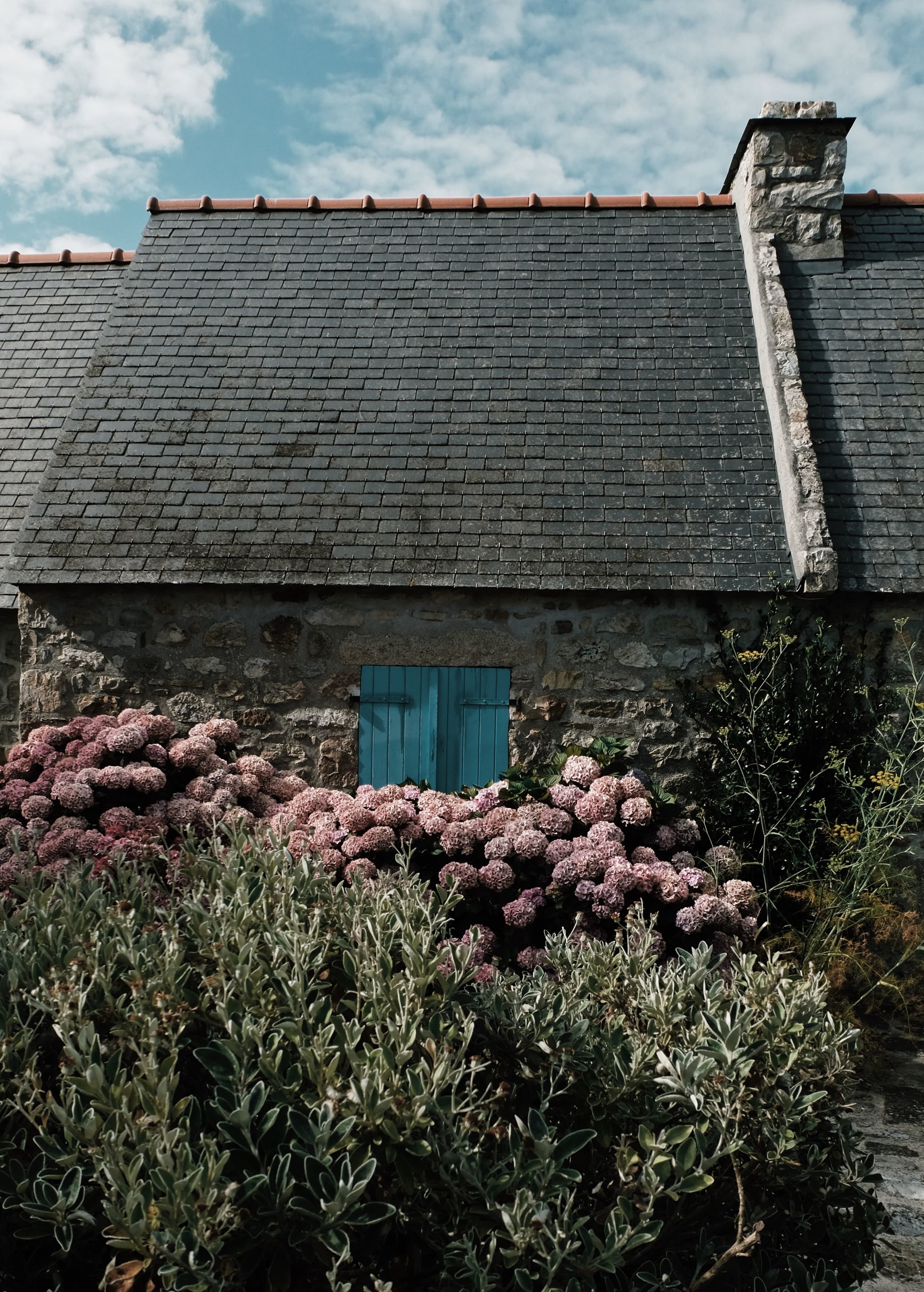 Carnet Sauvage - blog voyage Lille - visiter la Bretagne - presqu'ile de Crozon - Cap de la chevre3.jpg