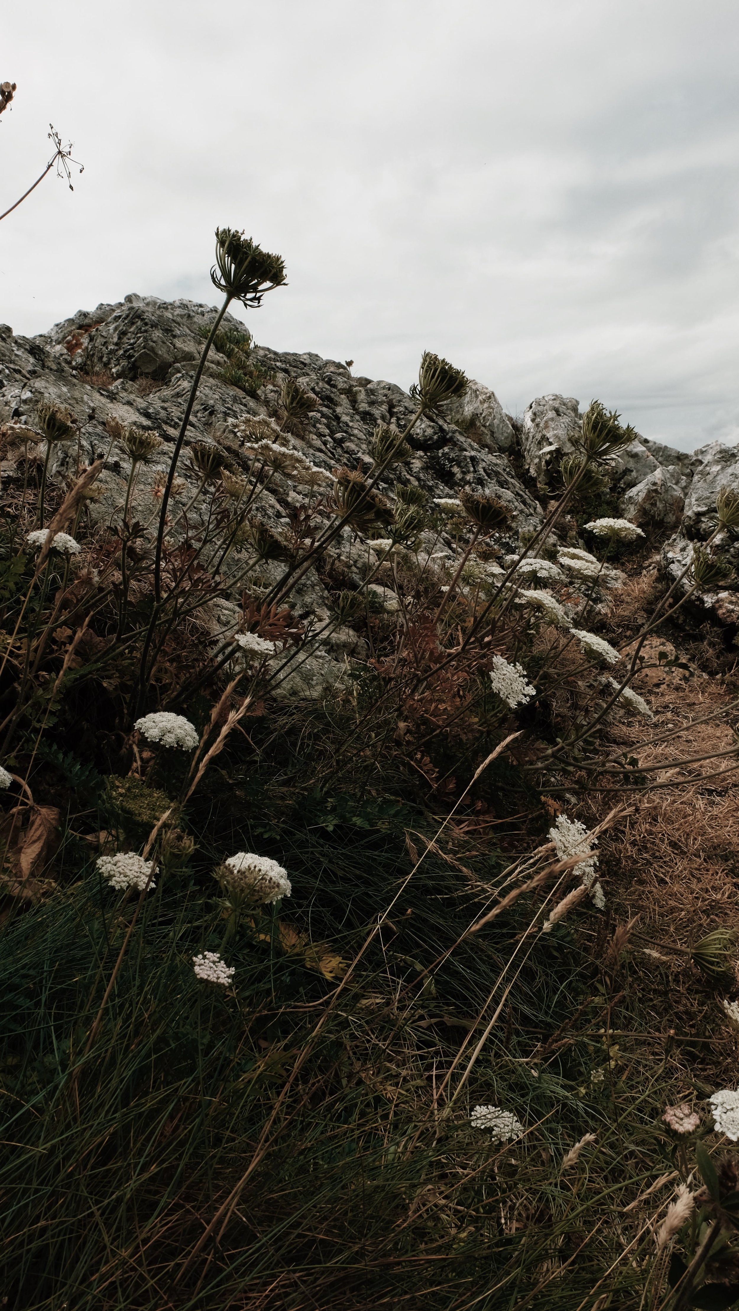 Carnet Sauvage - blog voyage Lille - visiter la Bretagne - presqu'ile de Crozon - pointe de pen hir 10.JPG