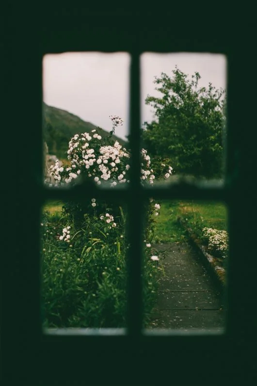 Carnet Sauvage - moodboard - shade of green (18).jpg