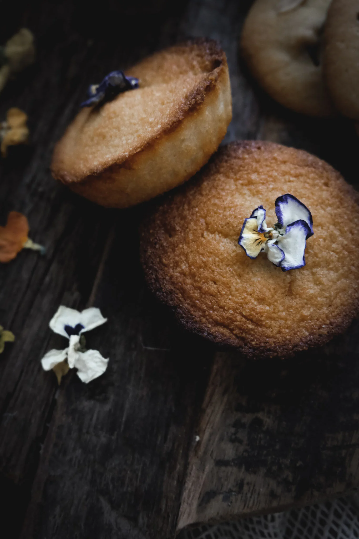 food photography - carnet sauvage-4.jpg
