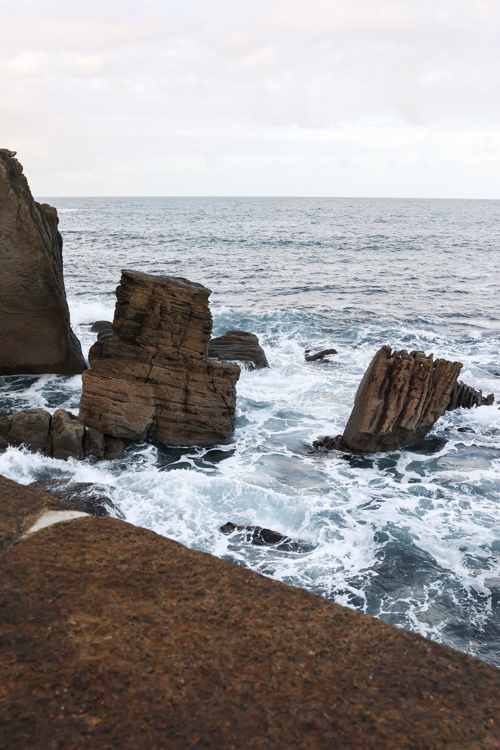 san sebastian - carnet sauvage-3-2.jpg