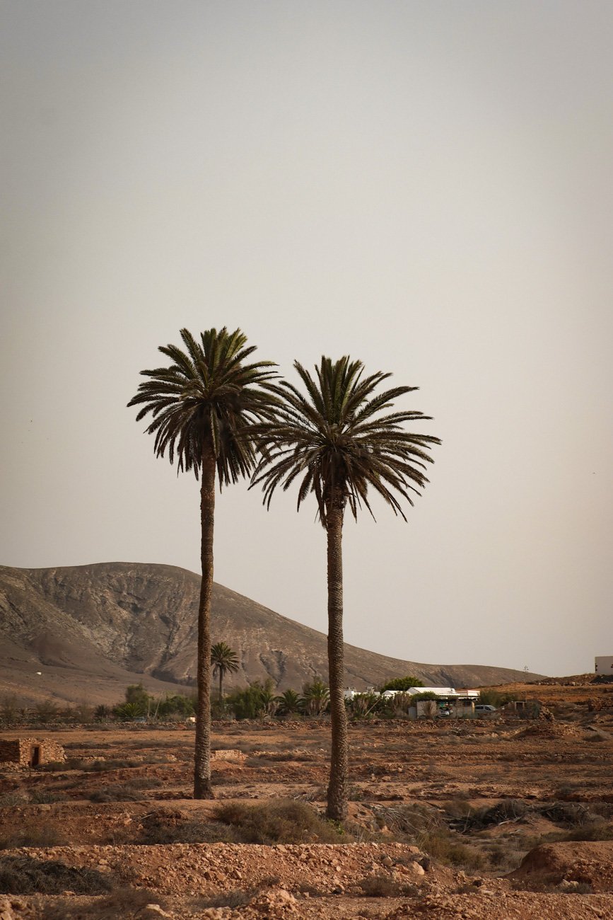 VISITER FUERTEVENTURA