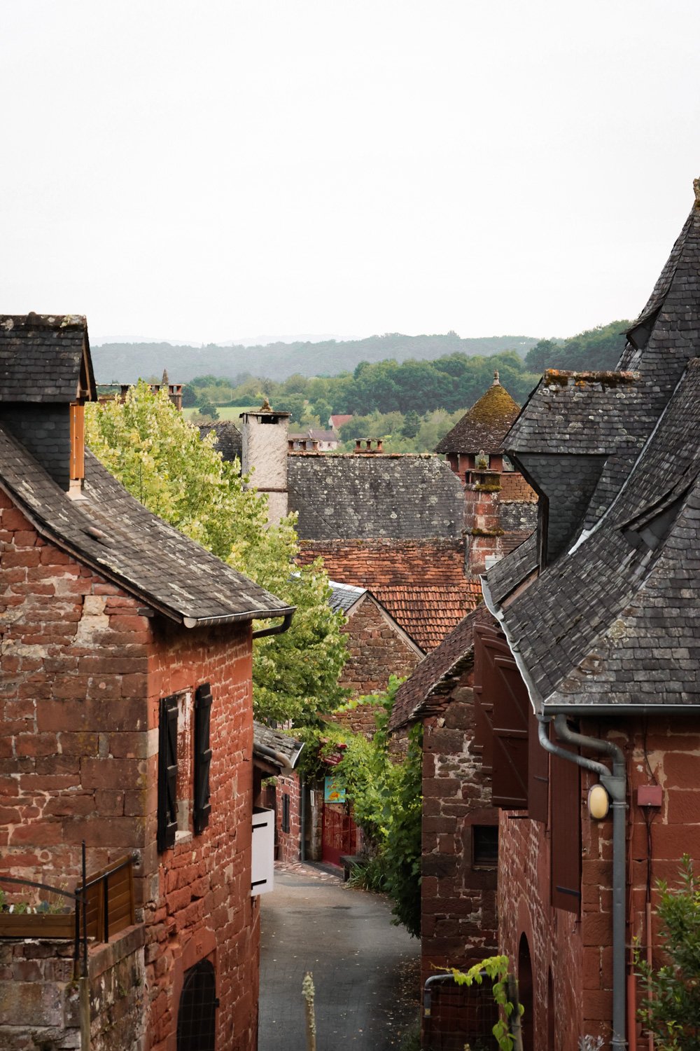 VOYAGE CORREZE CARNET SAUVAGE-98.jpg